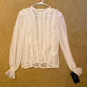 Zara Sheer Ruffle Blouse